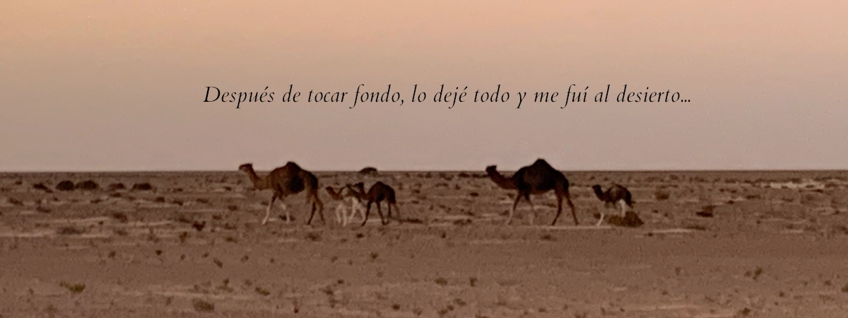 Después de tocar fondo lo dejé todo y me fuí al desierto.